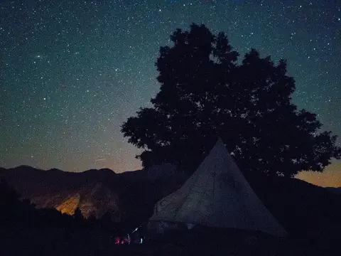 Yıldızlı gökyüzünde siluet olarak görünen yaşlı meşe ağacı ve altında çan çadır