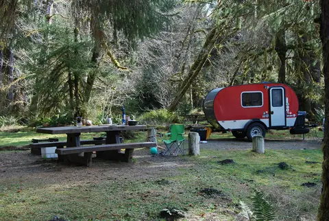 Yosunlu ağaçlarla çevrili orman kamp yerinde kırmızı küçük çekme karavan ve piknik masası