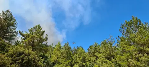 Muğla Milas'ta 2021 orman yangınında çam ormanının üzerinde yükselen duman ve söndürme uçağı