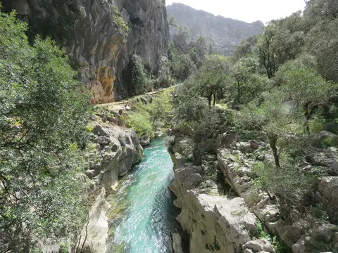 Yazılı Kanyon Tabiat Parkı'nda kalker duvarlar arasından akan turkuaz dere ve kıyıdaki ağaçlar