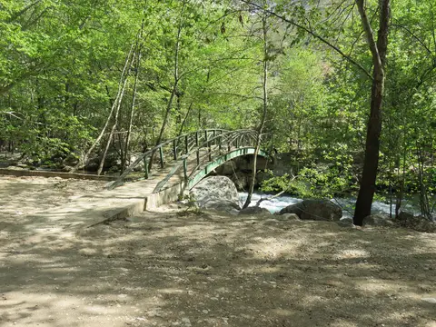 Yazılı Kanyon Tabiat Parkı'nda çınar gölgesindeki patika ve dereyi geçen kemerli ahşap köprü