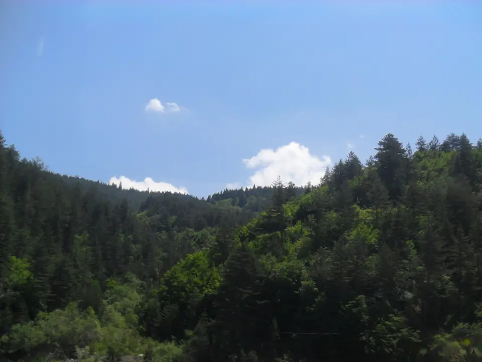Ilgaz Dağı Milli Parkı'nda çam ve göknar ormanıyla kaplı tepeler
