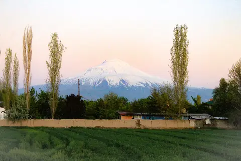 Iğdır tarafından kavak ağaçlarının ardında yükselen karlı Ağrı Dağı