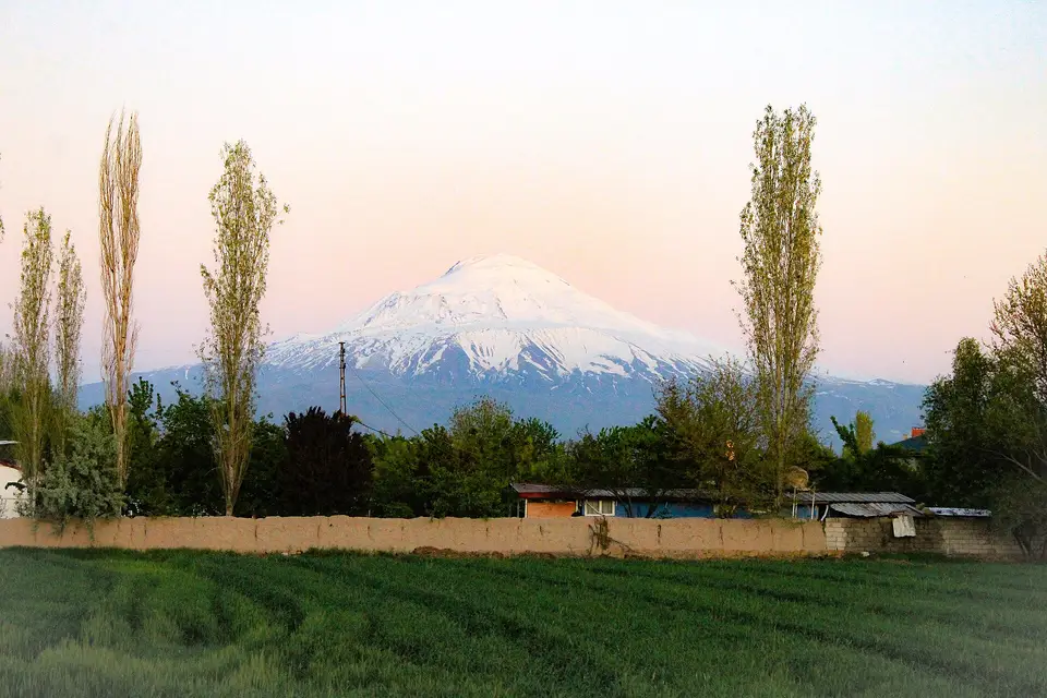 Iğdır tarafından kavak ağaçlarının ardında yükselen karlı Ağrı Dağı