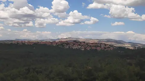 Bulutlu gökyüzü altında kurak tepelere uzanan çam ormanı