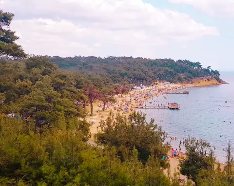 Gökçetepe Tabiat Parkı'nda çam ormanıyla çevrili uzun kumsal, iskeleler ve Saros Körfezi'nin sakin suları