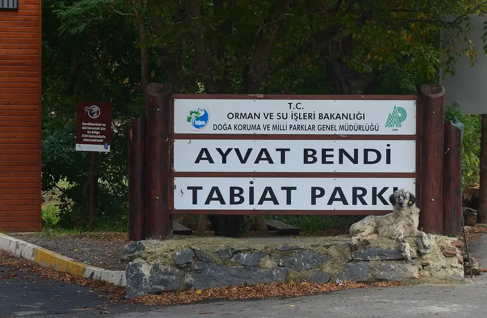 Ayvatbendi Tabiat Parkı girişindeki Doğa Koruma ve Milli Parklar tabelası