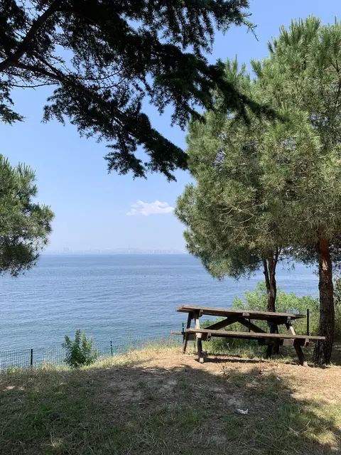 Değirmenburnu Tabiat Parkı'nda çam ağaçları altında denize bakan piknik masası ve Marmara'nın mavi suları