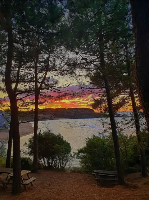 Elmasburnu Tabiat Parkı'nda çam ağaçları arasından görülen kumsal, koy ve turuncu gün batımı, önde piknik masaları