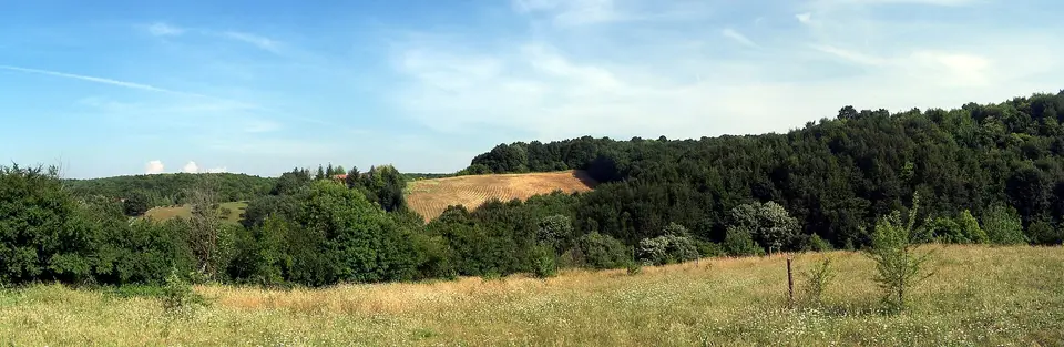 Polonezköy Tabiat Parkı'nda çayır, ekin tarlası ve orman kenarı