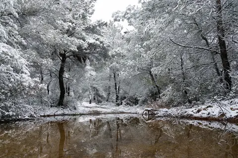Çiçekli Tabiat Parkı çevresinde karla kaplı ağaçlar ve dere