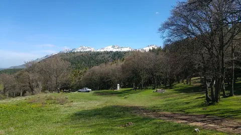 Kocakoru Ormanı Tabiat Parkı'nda yeşil çayır, yaşlı ağaçlar ve arkada karla kaplı dağ sırtları