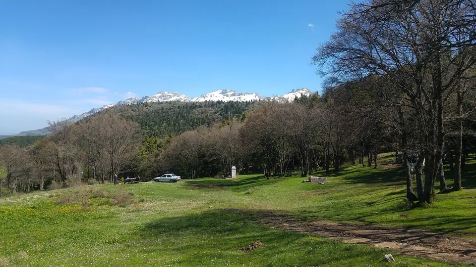 Kocakoru Ormanı Tabiat Parkı'nda yeşil çayır, yaşlı ağaçlar ve arkada karla kaplı dağ sırtları