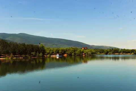 Enne Barajı kıyısındaki çam ormanı ve durgun baraj gölü