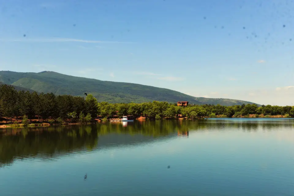 Enne Barajı kıyısındaki çam ormanı ve durgun baraj gölü