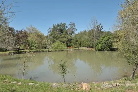 Kapıçam Tabiat Parkı'nda ağaçlarla çevrili küçük gölet