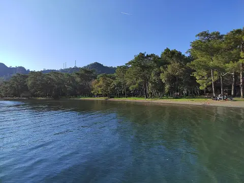 Çubucak Tabiat Parkı'nda çam ormanının deniz kıyısına indiği sakin koy