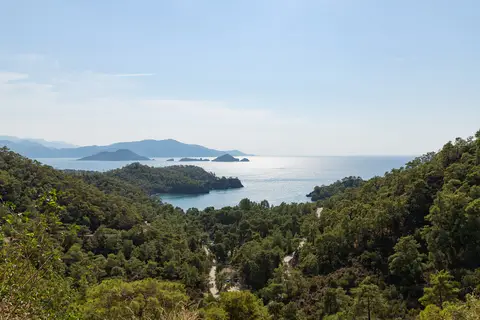 Katrancı Koyu'nun ormanlı yamaçları ve açıktaki adalar