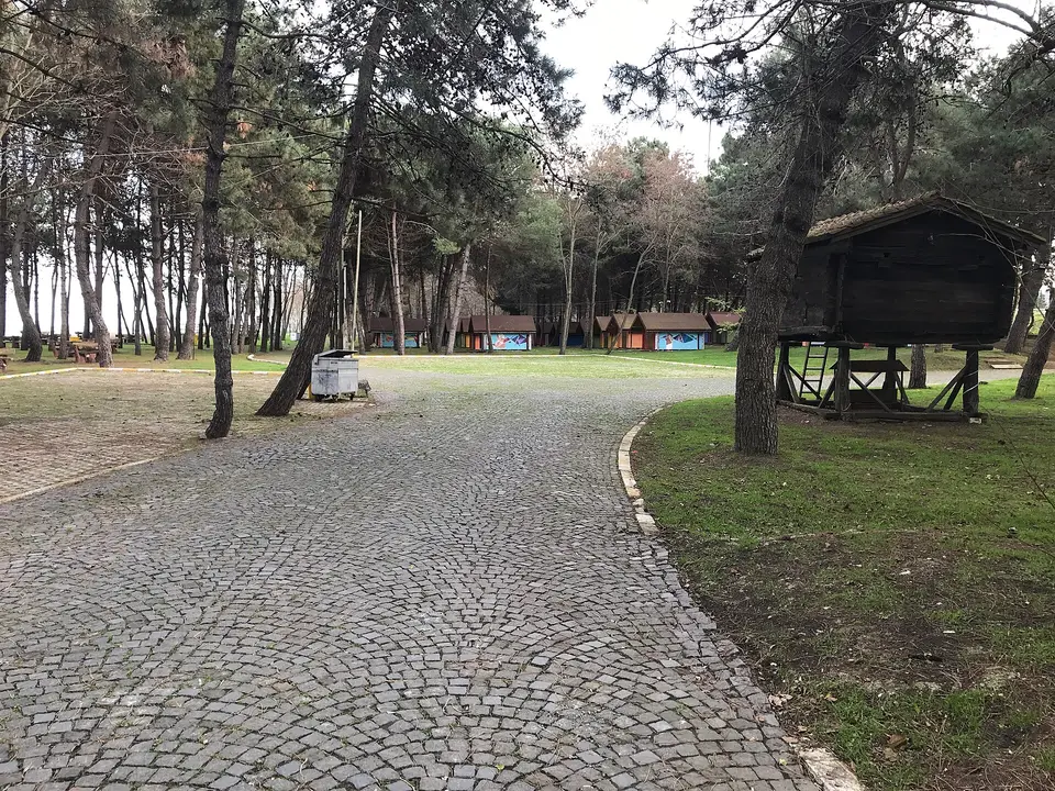 Çınarsuyu Tabiat Parkı'nda çam ağaçları arasındaki taş döşeli yol ve ahşap yapılar