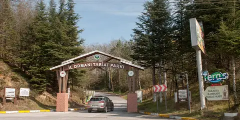 Sakarya İl Ormanı Tabiat Parkı'nın ahşap giriş kapısı ve ağaçlık yol