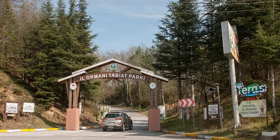 Sakarya İl Ormanı Tabiat Parkı'nın ahşap giriş kapısı ve ağaçlık yol
