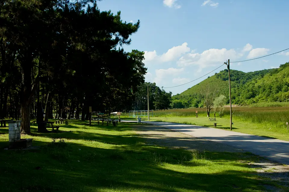 Poyrazlar Gölü Tabiat Parkı'nda çam ağaçlarının altındaki piknik alanı ve yol