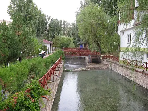 Kangal Balıklıgöl Tabiat Parkı'nda söğüt ağaçlarıyla çevrili, ahşap korkuluklu berrak termal su havuzu ve kanalı