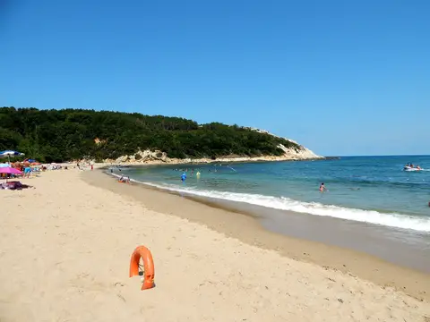 Çamlıkoy'da kumsal, ormanlı burun ve masmavi deniz