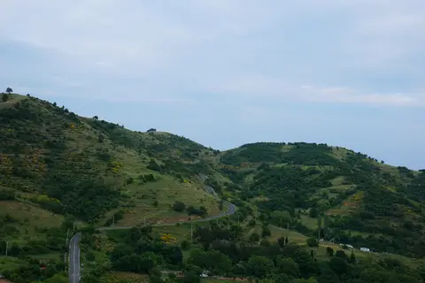 Tekirdağ Kartaltepe Tabiat Parkı'nda yeşil tepeler ve kıvrılan yol