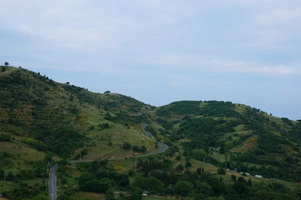 Tekirdağ Kartaltepe Tabiat Parkı'nda yeşil tepeler ve kıvrılan yol