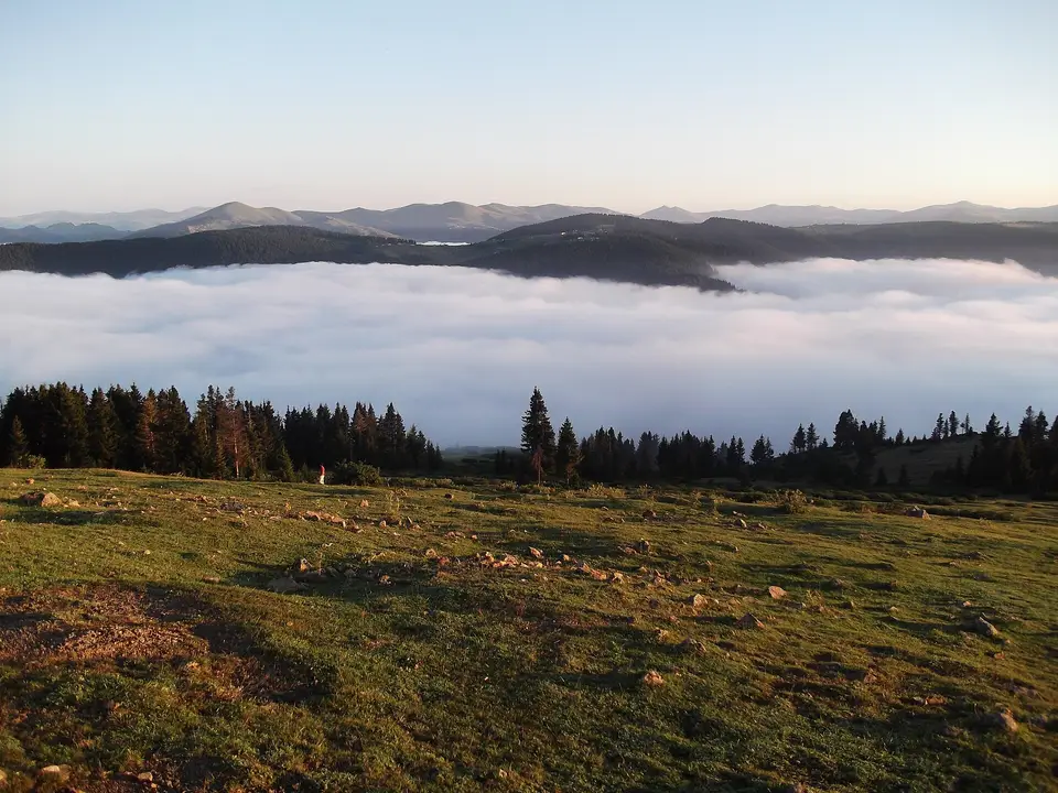 Kayabaşı Tabiat Parkı'nda yayla çayırı, köknar ağaçları ve vadideki sis denizi