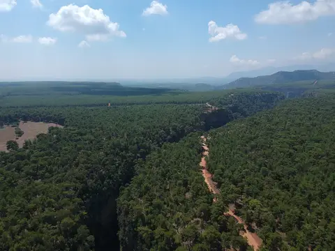 Güver Kanyonu çevresinde geniş kızılçam ormanı, havadan görünüm