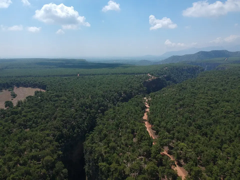 Güver Kanyonu çevresinde geniş kızılçam ormanı, havadan görünüm