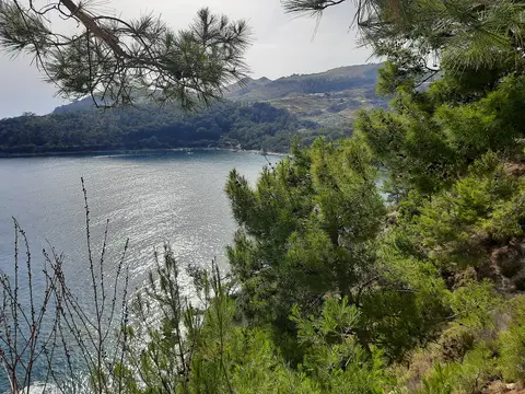 Mavikent Tabiat Parkı'nda çam ağaçlarının arasından görünen koy