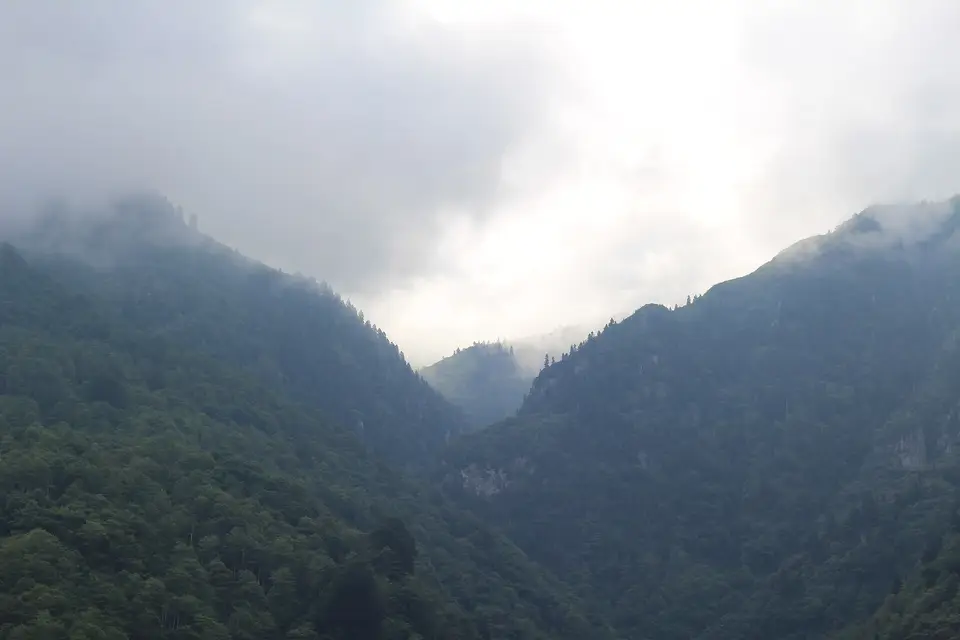Altıparmak Tabiat Parkı'nda sisli ormanlı vadiler