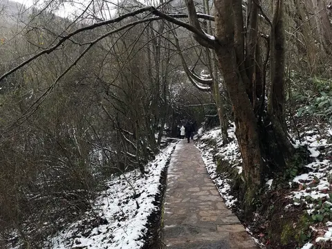 Aydınpınar Şelaleleri Tabiat Parkı'nda karlı ormanın içinden geçen taş patika